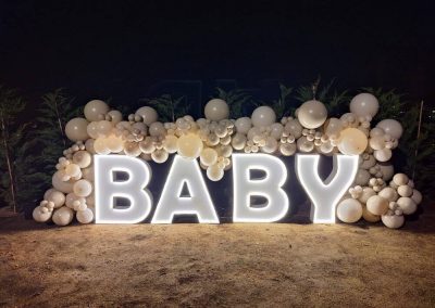 BABY GENDER REVEAL 